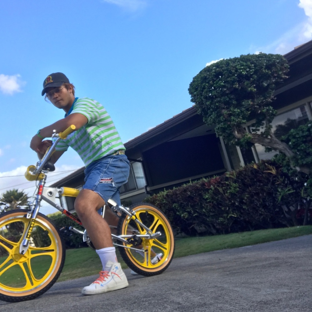 STRANGER THINGS MAX BMX